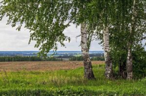 Кульмяково