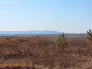 Кызылова