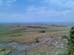 Лесной