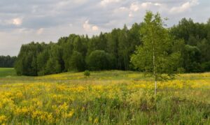 Карагайлы