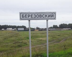 Берёзовский