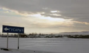 Гусары
