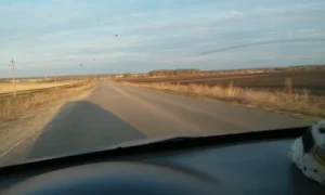 Лесной