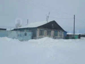 Новый Путь