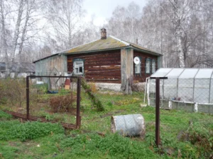 Смольное