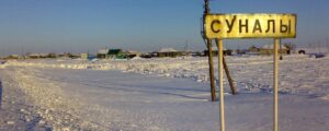 Суналы