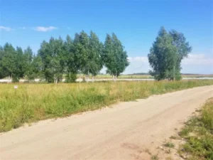 Терема